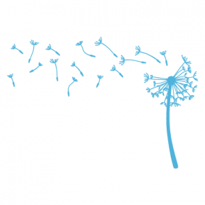 dendelion_wall sticker
